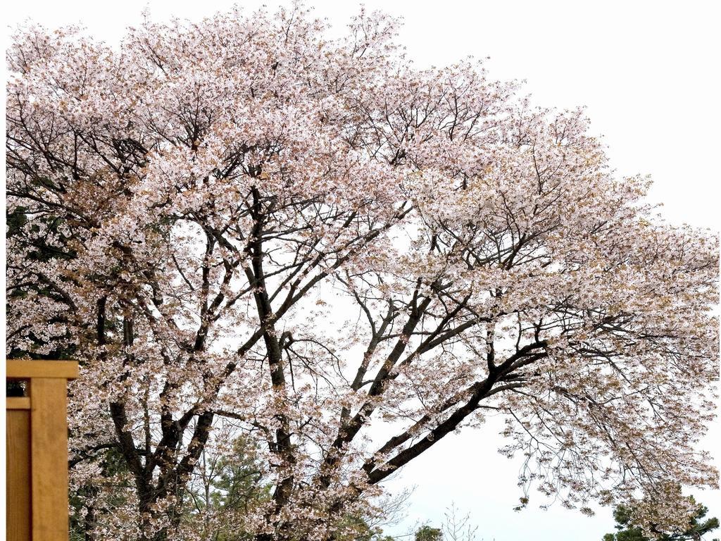 מלון Hakone Kyuan מראה חיצוני תמונה